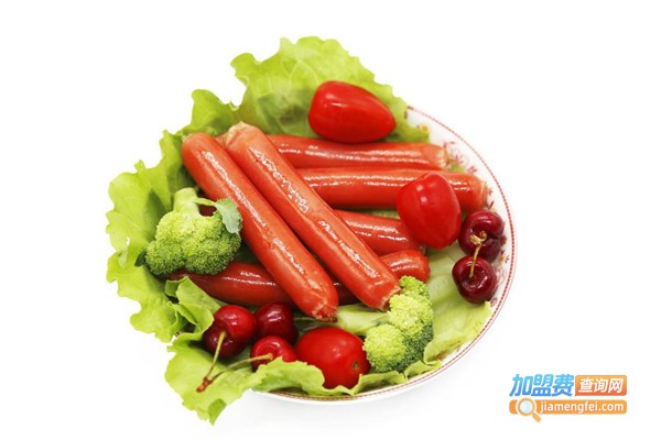 盛辣食品加盟费