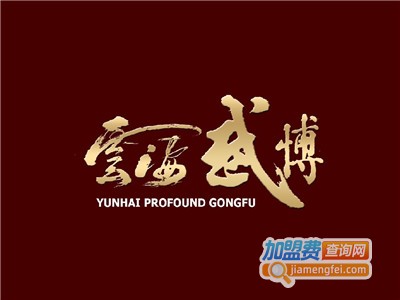 云海兴业武术培训加盟费