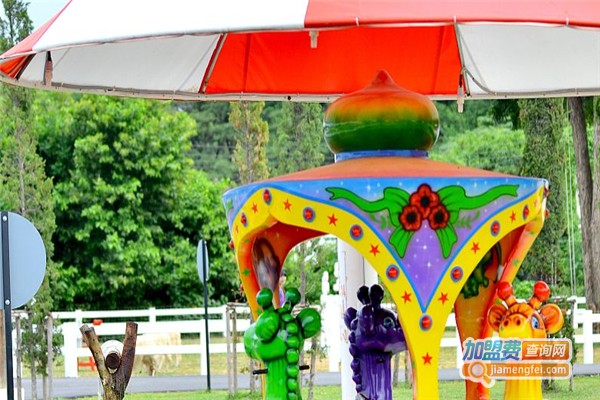 栋梁儿童乐园加盟费