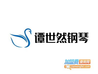 谭世然钢琴加盟费