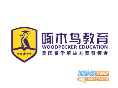 啄木鸟留学加盟费