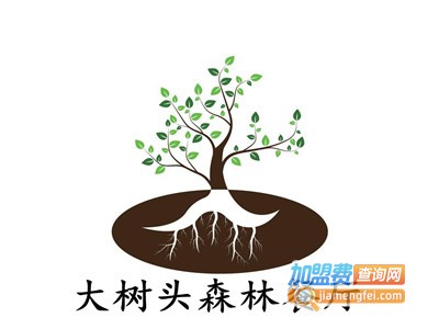大树头森林餐厅加盟费