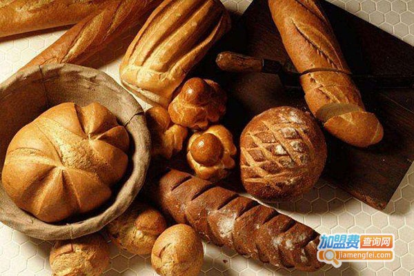 尚诚贝壳烘焙教育加盟门店