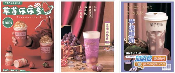 叶子与茶加盟费