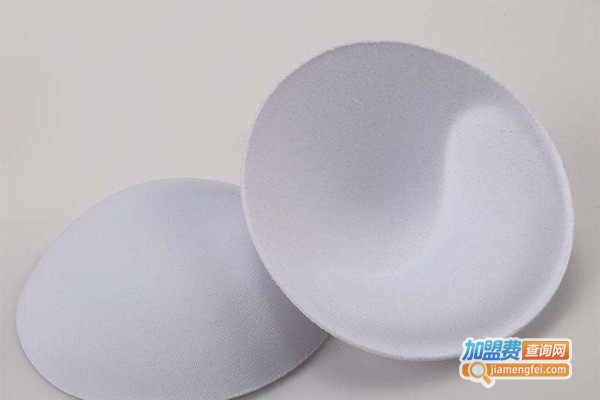 波力挺文胸加盟费