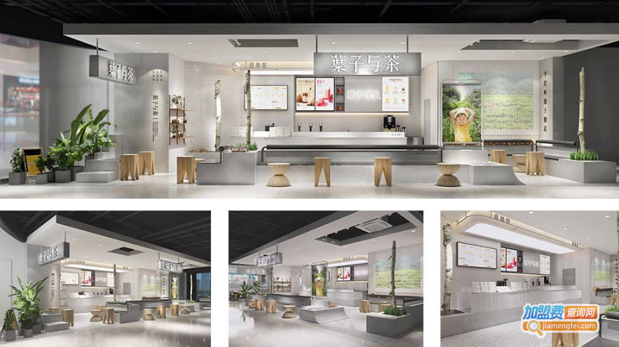 叶子与茶加盟费