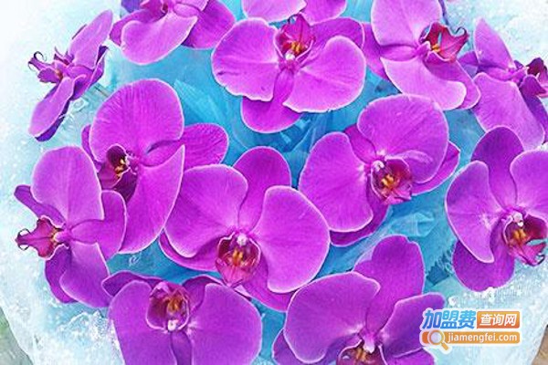 爱琴海花坊加盟