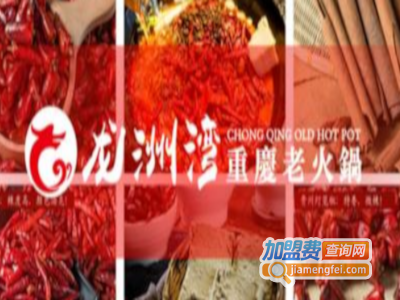 龙洲湾重庆老火锅加盟费