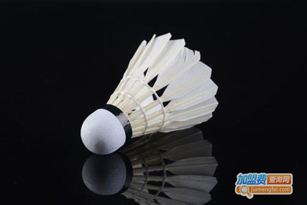 桂昌立羽毛球加盟门店