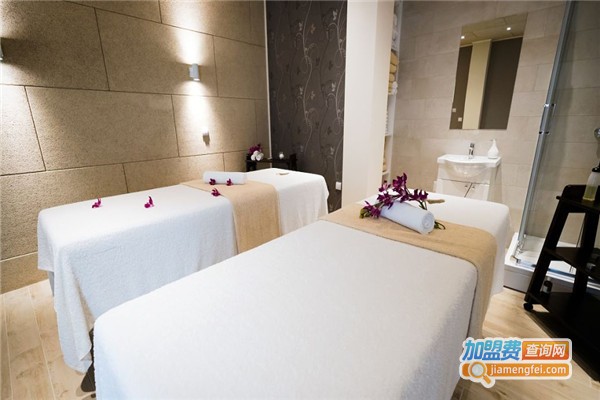 杜邦墙面漆加盟费