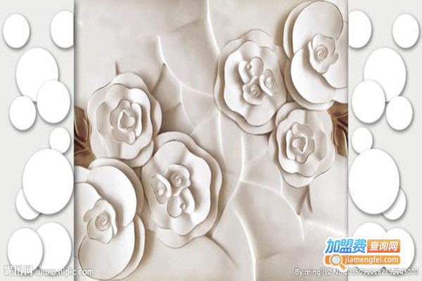 家标3D背景墙加盟门店