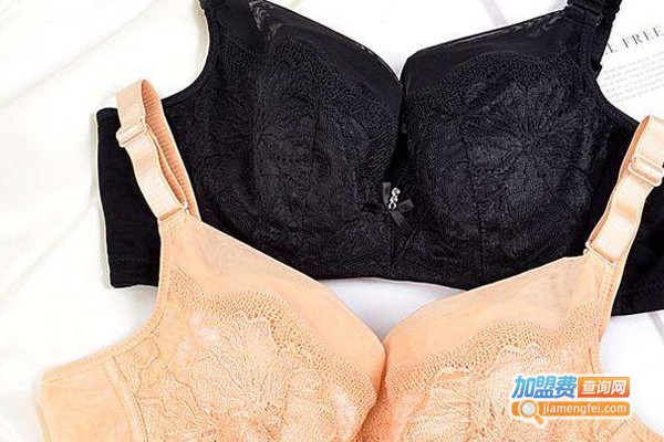 波力挺文胸加盟费