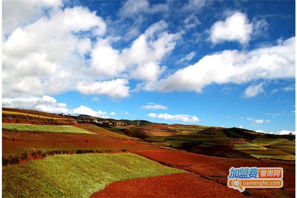 奥德曼暑期夏令营加盟