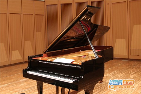 赛乐尔钢琴教育加盟费