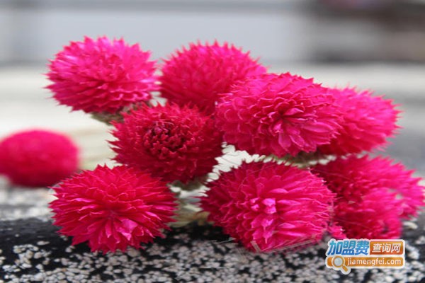 七彩坊DIY手机美容加盟门店