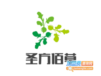 圣方佰草美容养生加盟费