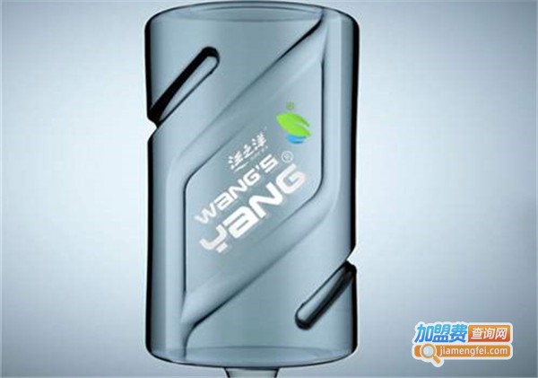 汪之洋纯净水加盟费