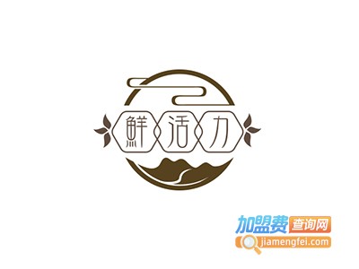 鲜活力美容加盟费