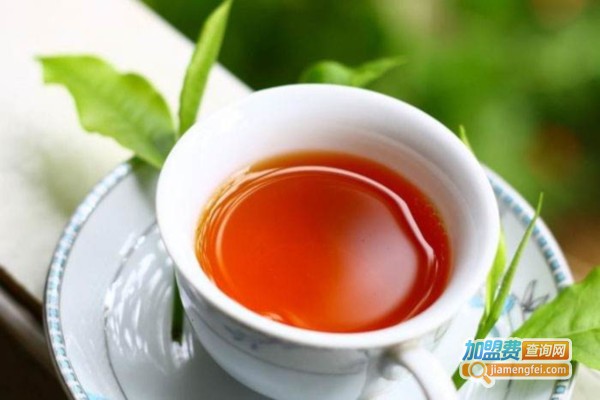初岛贡茶