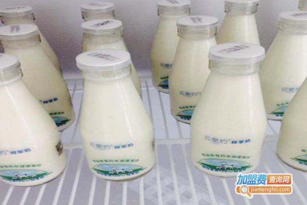 云泉约鲜牛奶加盟费