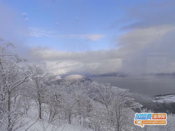 一迪艺术教育加盟费