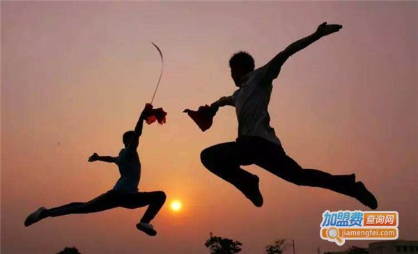 东街少儿武术幼儿园加盟费