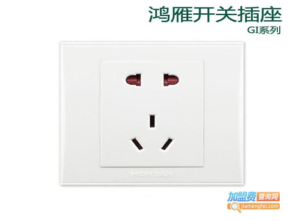 鸿雁插座加盟费