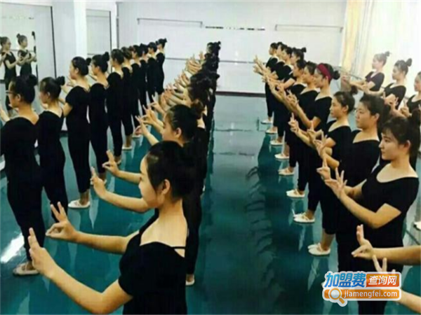 星运艺术培训加盟费