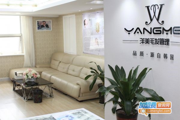 洋美毛发种植研究所加盟费