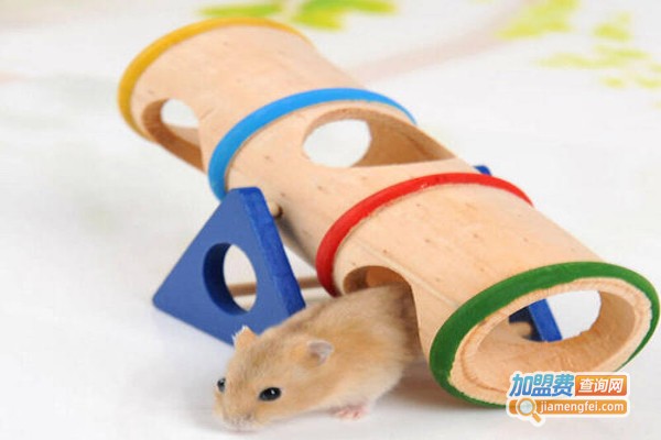 贝萌玩具加盟费