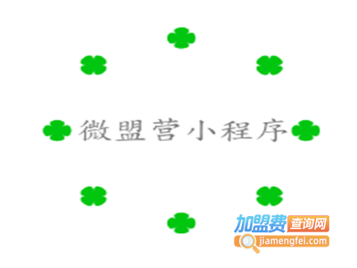 微盟营小程序