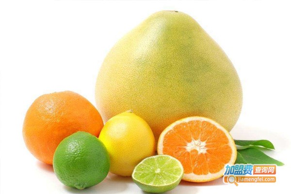 橙子化妆品加盟费