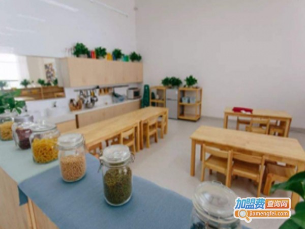 德商教育加盟费