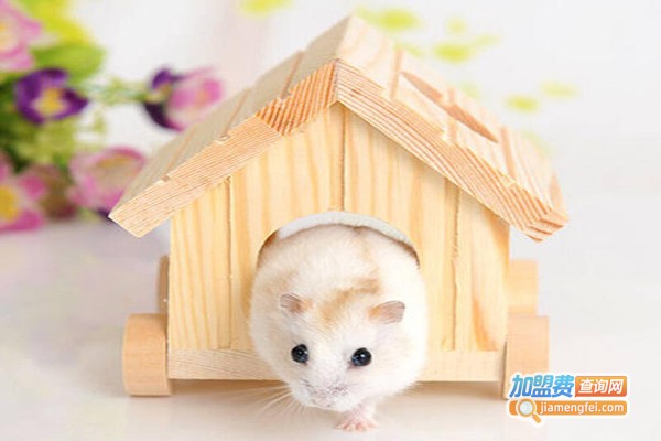 贝萌玩具加盟费