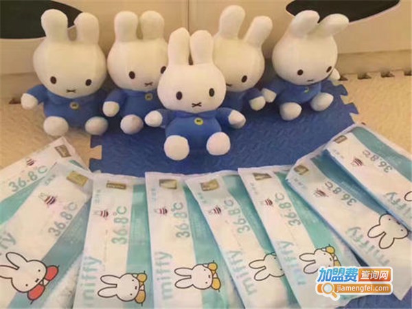 爱婴乐纸尿裤加盟费