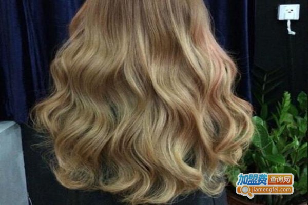 大邦美容美发加盟费