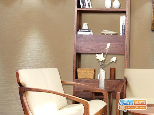 世威水性墙艺漆加盟费