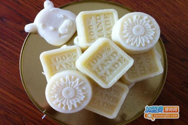 雅佳丽手工皂加盟门店