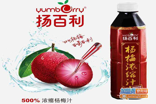 扬百利杨梅汁
