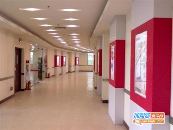 青夏教育加盟费