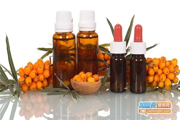 力美杰保健品加盟费