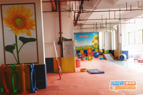 太阳花儿童潜能开发