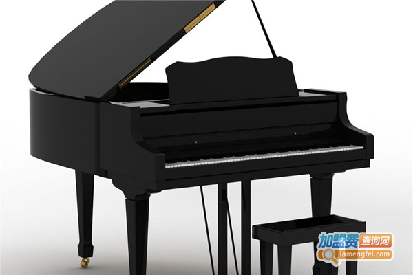 赛乐尔钢琴教育加盟费