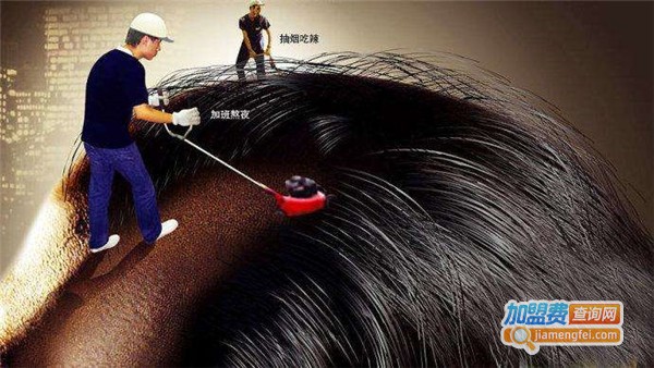 丝客富头皮管理加盟费