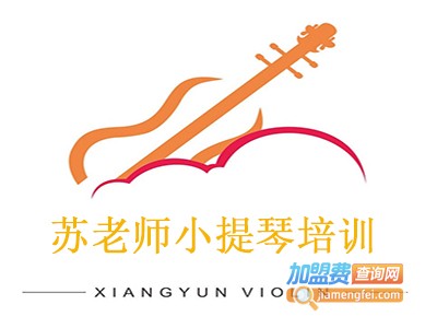 苏老师小提琴培训加盟费