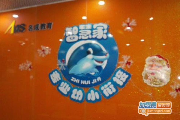 智慧家幼小衔接加盟费