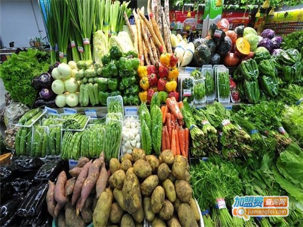 贝贝蔬菜加盟费