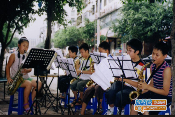 笨鸟乐器培训加盟费