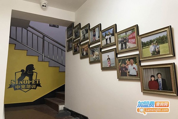 中宠教育加盟门店