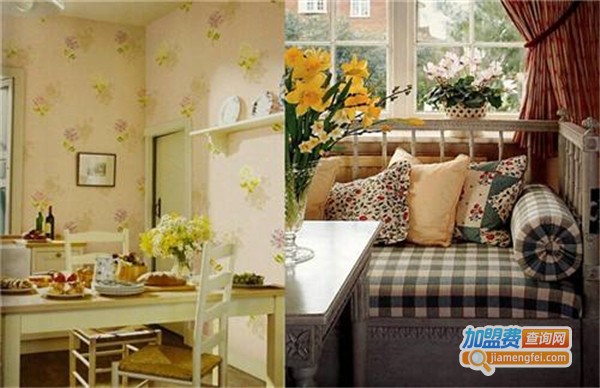 戴森涂料加盟费